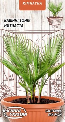 Вашингтонія Нитчаста [5шт]