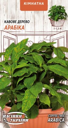 Кавове Дерево АРАБІКА [1г]
