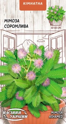 Мімоза Соромлива [0,3г]