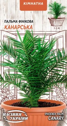 Пальма Фінікова КАНАРСЬКА [2шт]