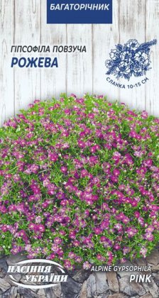 Гіпсофіла Повзуча РОЖЕВА [0,1г]