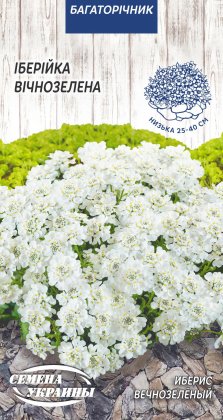 Іберійка Вічнозелена [0,1г]