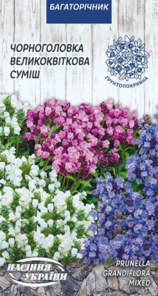 Чорноголівка Великоквіткова (суміш) [0,1г]