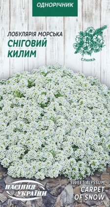 Лобулярія Морська СНІГОВИЙ КИЛИМ [0,2г]