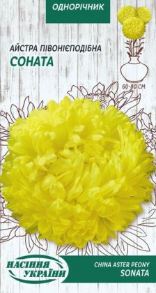 Айстра Піоновидна СОНАТА [0,25г]