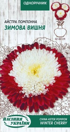 Айстра Помпонна ЗИМОВА ВИШНЯ [0,25г]