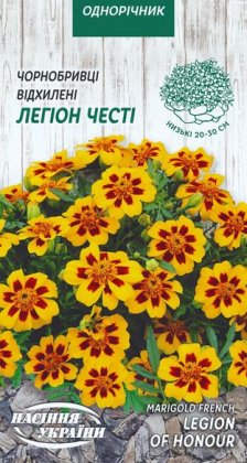 Чорнобривці Відхилені ЛЕГІОН ЧЕСТІ [0,5г]
