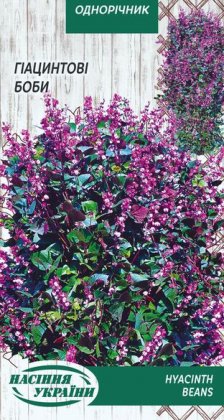 Гіацинтові боби [1г]