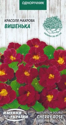 Красоля Махрова ВИШЕНЬКА [1г]
