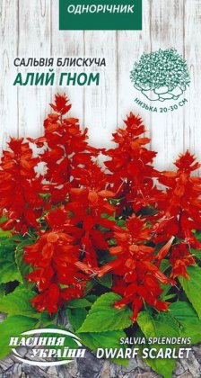 Сальвія Блискуча АЛИЙ ГНОМ [0,2г]