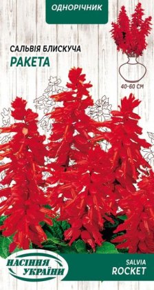 Сальвія Блискуча РАКЕТА [0,2г]