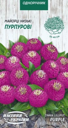 Майорці Низькі ПУРПУРОВІ [0,5г]